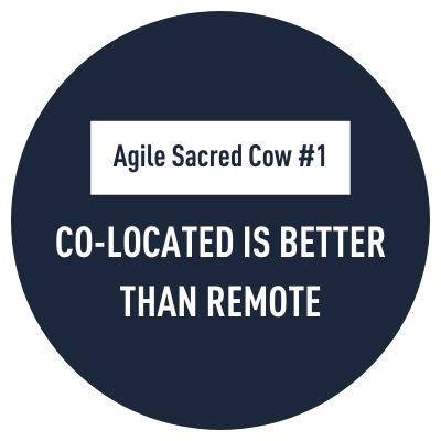 Agile Sacred Cow #1 - Trayport